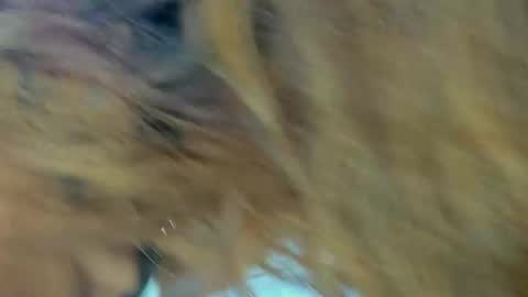 Snapshot of kendalstallyon chatting on November 27, 9:28 pm Kendal online show from November 27, 9:28 pm