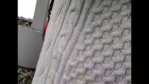 Snapshot of kenhiking chatting on February 19, 5:25 am kenhiking online show from February 19, 5:25 am