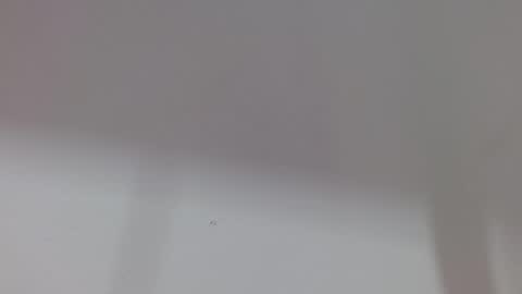 Melody online show from October 11, 12:04 pm