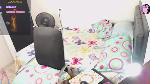 Anita. online show from January 31, 2:26 am