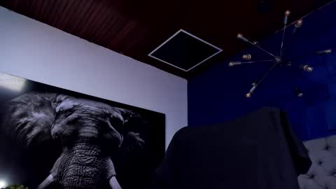 Angel Falconer online show from January 18, 4:05 am