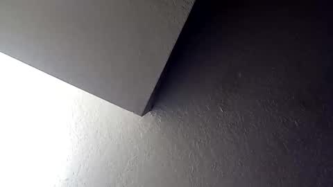 Snapshot of kingbbcfla chatting on December 5, 3:59 am KING or DADDY online show from December 5, 3:59 am