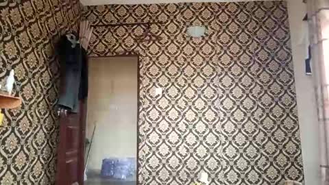 Snapshot of kingemizzy chatting on February 3, 8:08 am kingemizzy online show from February 3, 8:08 am