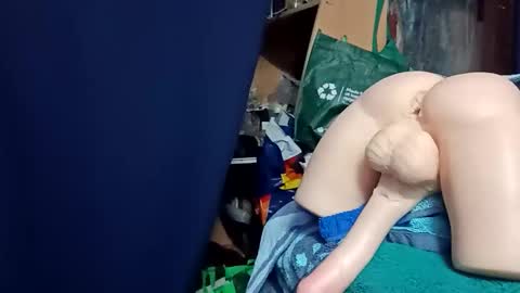 Snapshot of kingfisherrobbie chatting on October 24, 2:24 pm Robbie online show from October 24, 2:24 pm