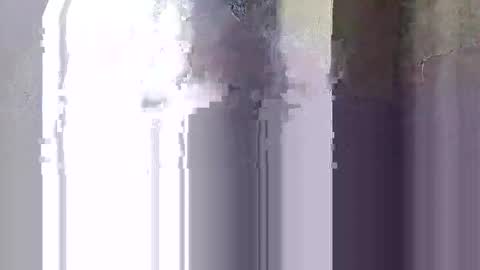 Sally online show from November 18, 6:45 pm