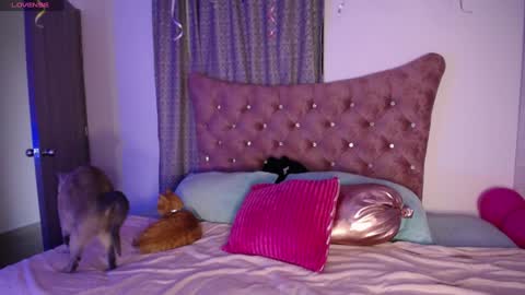  Sara  online show from December 11, 10:16 pm