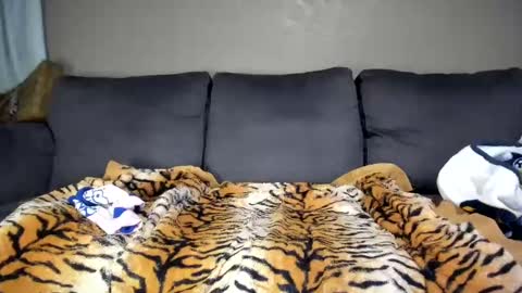 Snapshot of kinkykortney chatting on February 11, 12:16 pm Kinky online show from February 11, 12:16 pm