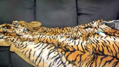 Kinky online show from January 7, 9:12 am