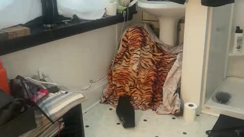 kinkysexpervert online show from April 13, 4:34 pm