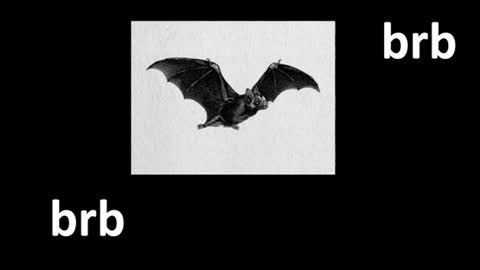 meow online show from July 22, 12:19 pm