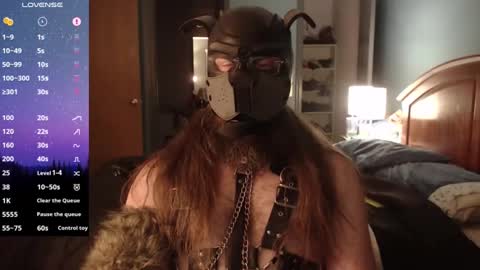 kinkywolf87 online show from December 3, 7:21 am