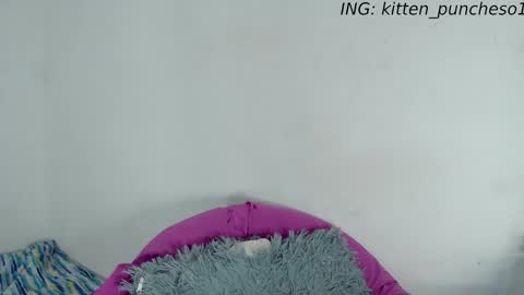 kitten_punches01 online show from September 28, 2:39 am