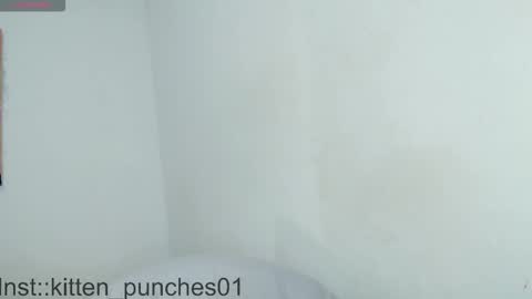 Snapshot of kitten_punches02 chatting on November 1, 3:08 am kitten_punches02 online show from November 1, 3:08 am