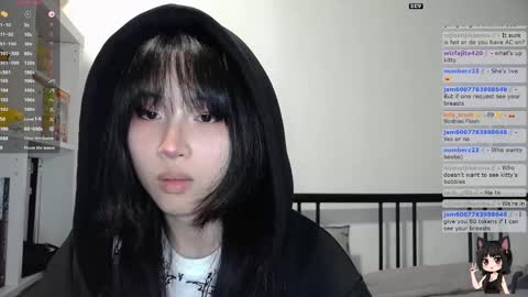 Snapshot of kitty_krush chatting on November 7, 2:00 am Kitty online show from November 7, 2:00 am