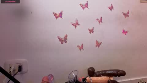 Snapshot of kittyroses chatting on January 17, 12:59 am Kitty online show from January 17, 12:59 am