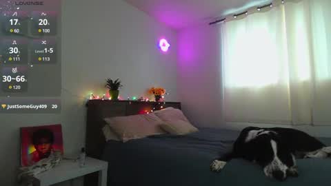 Kittyymaze online show from December 12, 1:28 pm