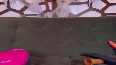 kloe_bella online show from October 27, 3:38 pm