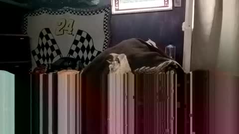 knock2wice1975 online show from January 20, 4:32 am