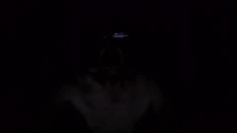 kobolt67 online show from October 9, 4:54 am