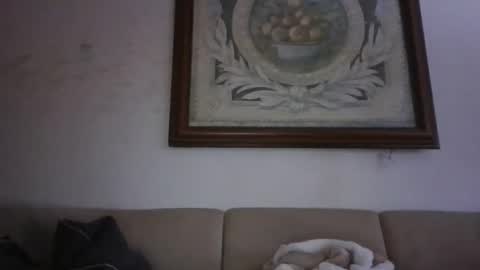 kobolt67 online show from February 24, 3:43 pm