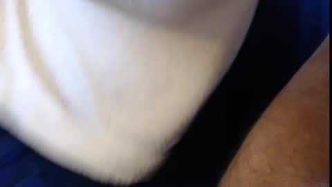 Snapshot of konradboy chatting on March 6, 9:25 am Konrad online show from March 6, 9:25 am