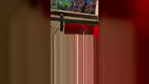 Snapshot of korysmith568 chatting on February 20, 3:25 am korysmith568 online show from February 20, 3:25 am