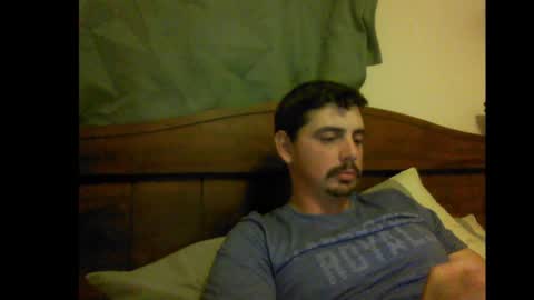 johnny horse cock online show from December 2, 4:42 am