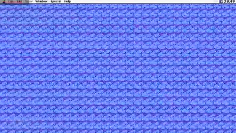 Krypto hethey online show from October 31, 7:48 pm