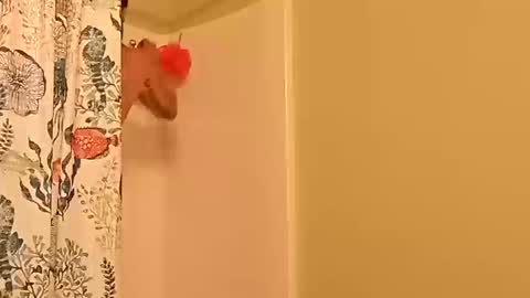 kyleisabadname online show from October 20, 12:44 am