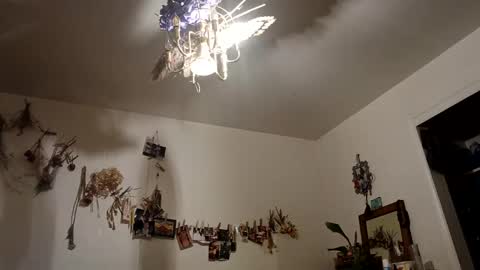 lacybell online show from October 9, 7:17 am