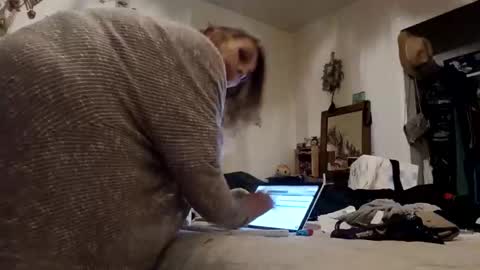 lacybell online show from November 16, 8:20 am