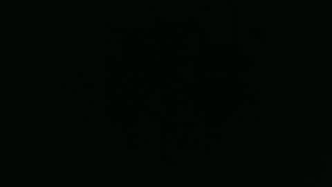 ANNIE online show from December 1, 5:45 am