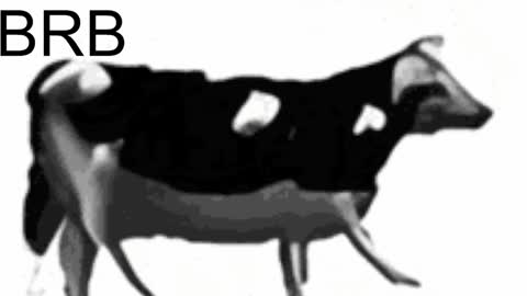 just call me Lana  and her security online show from February 6, 11:10 am