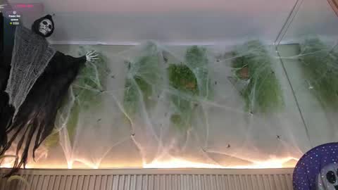 Snapshot of lana_lann chatting on October 30, 2:40 pm lana_lann online show from October 30, 2:40 pm