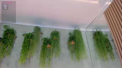 Snapshot of lana_lann chatting on November 10, 12:04 pm lana_lann online show from November 10, 12:04 pm