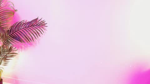 LANA online show from March 29, 3:50 am