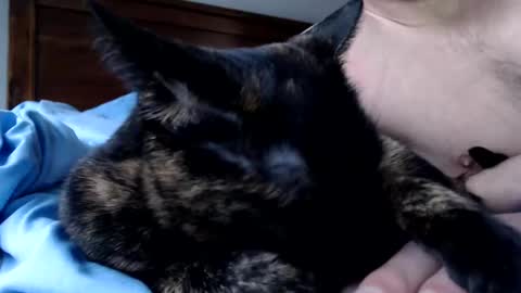 Snapshot of lancehardin chatting on December 16, 4:12 pm Lance online show from December 16, 4:12 pm