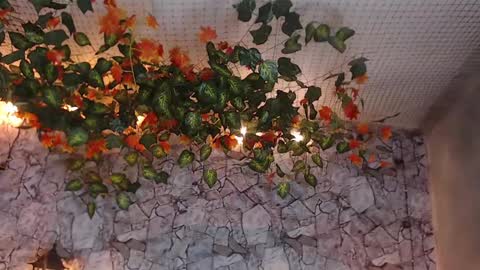 Snapshot of lancelot_benwick chatting on January 7, 1:38 am Lancelot Benwick online show from January 7, 1:38 am