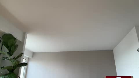 Lanimal online show from March 10, 1:05 pm