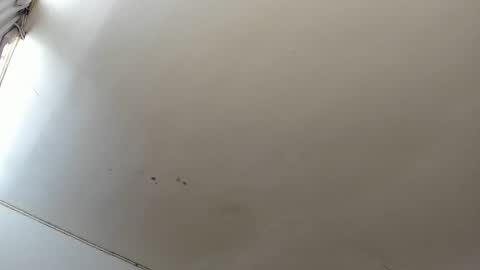 Lara online show from October 23, 3:44 pm