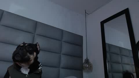 lara online show from December 31, 12:00 am