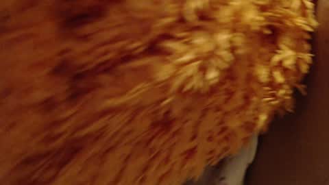 Snapshot of laralhotr chatting on December 26, 10:09 pm laralhotr online show from December 26, 10:09 pm