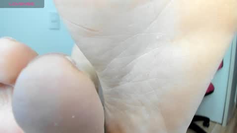 Snapshot of latin__curly chatting on December 12, 6:31 pm Afrodita online show from December 12, 6:31 pm