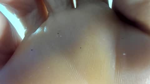 Afrodita online show from November 7, 12:54 am