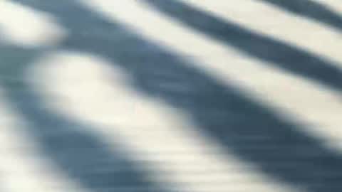 latinlover199518 online show from May 9, 7:08 pm