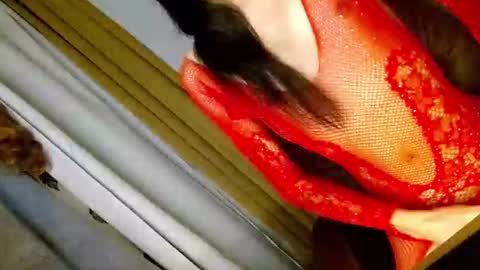 latrina_ online show from March 5, 3:08 pm