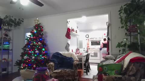 LauLauMa online show from December 23, 4:33 am