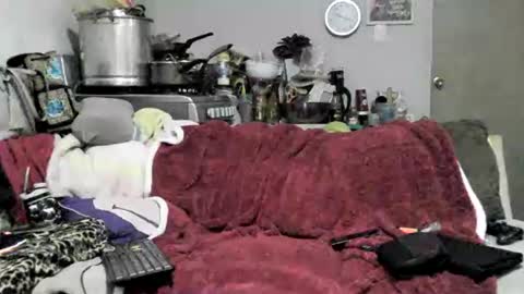 lauradecuada2 online show from February 8, 4:38 am