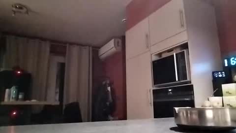 Law online show from December 16, 5:45 am