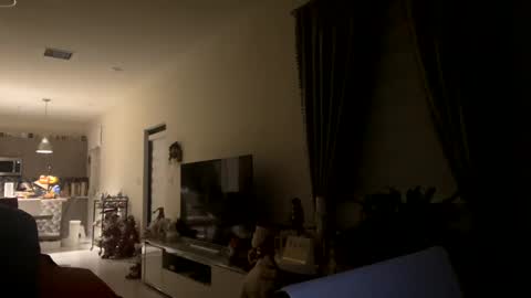 Snapshot of law_cambio chatting on December 31, 11:31 am law_cambio online show from December 31, 11:31 am